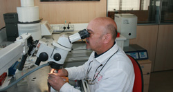 Realizzazione ceramiche dentali laboratorio odontotecnico